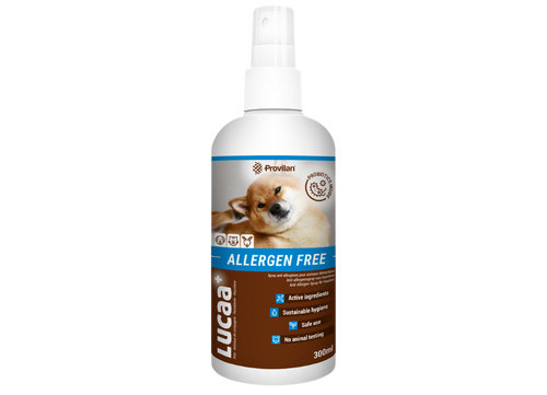 Dog skin allergy spray