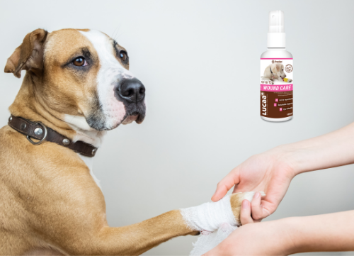 LUCAA+ Pet Probiotic Wound Care - 100ml Spray