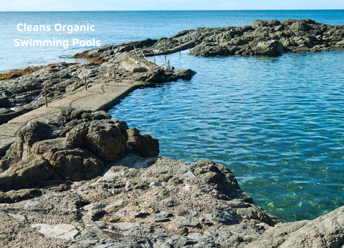 Natural cleaner for organic swimming pools