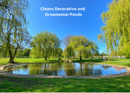 Natural pond cleaner for decorative ponds