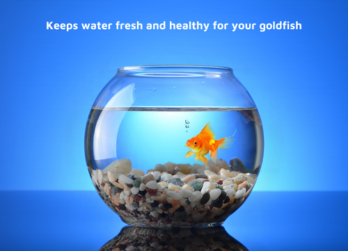 Goldfish bowl water cleaner