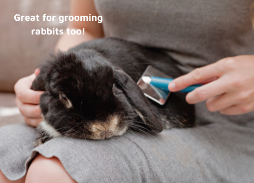 LUCAA+ Pet Natural Coat Care - grooming a rabbit