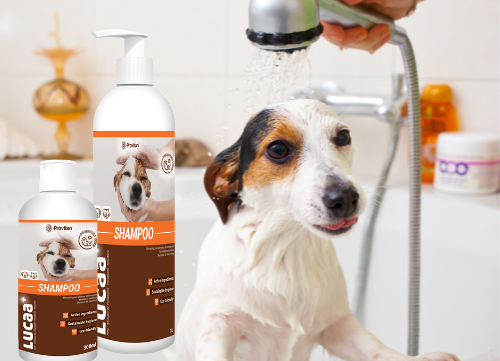 probiotic dog shampoo