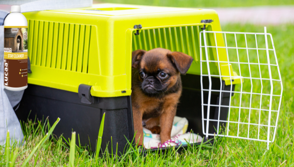 natural cleaner for dog carriers