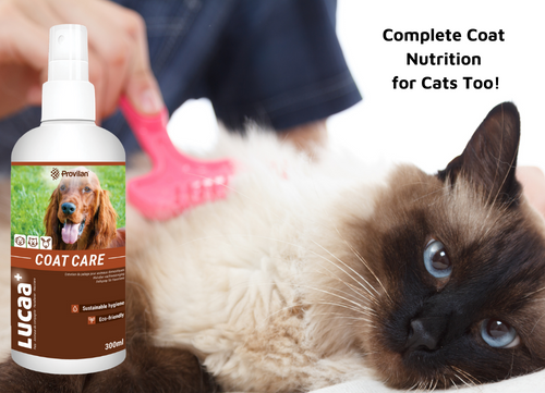 Natural coat care for cats