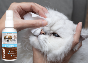 natural eye cleaner for dogs and cats