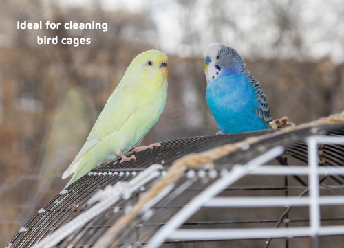 pet friendly cleaner for bird cages