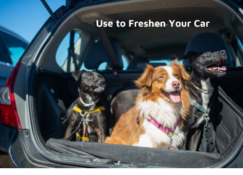 pet odour remover for cars