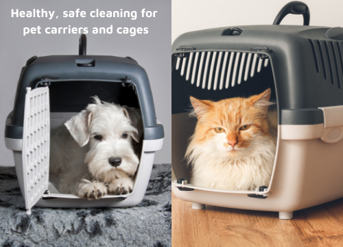 Pet safe cleaning for carriers and kennels