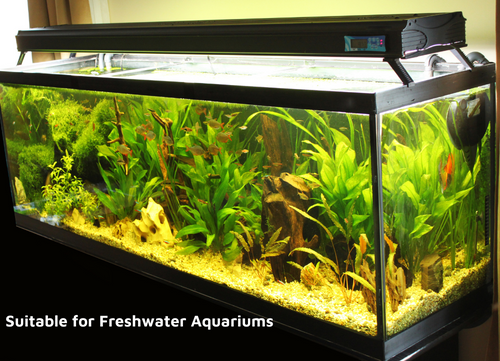 Water purifier for freshwater aquariums