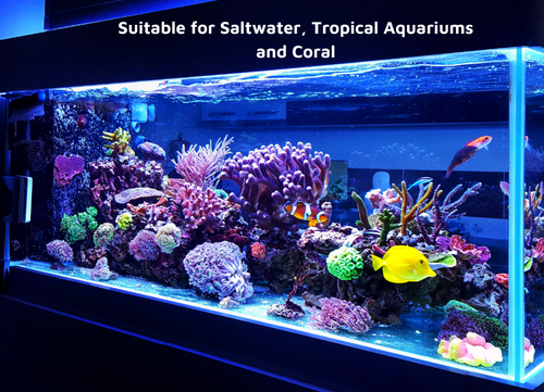 Water purifier for saltwater and tropical aquariums
