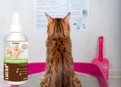 Cat litter odour remover spray