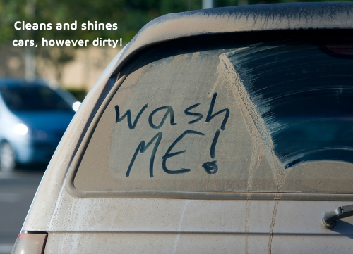 probiotic car wash