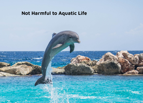 Not harmful to aquatic life