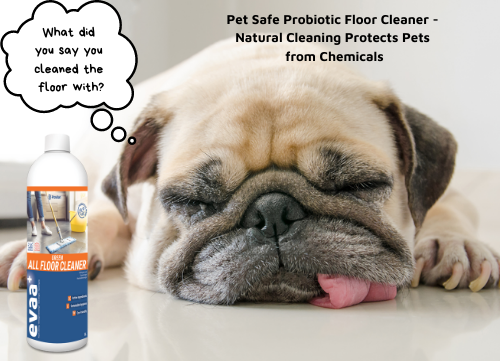 Probiotic Floor Cleaner