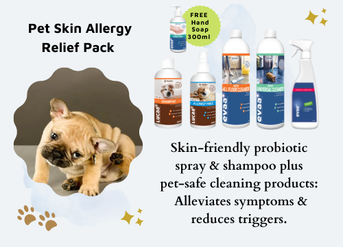 dog skin allergy remedy