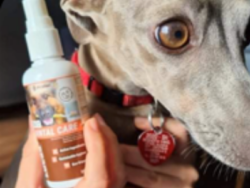 probiotic tooth spray for dogs