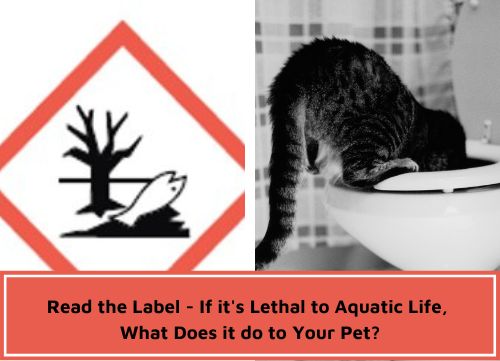 chemicals toxic to aquatic life - pictogram