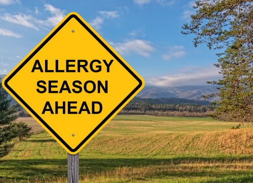 allergy season solutions