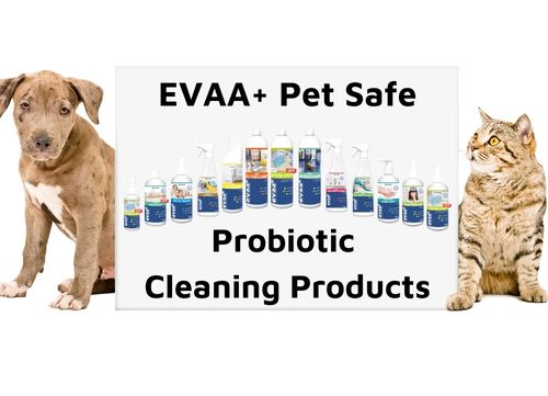 dog safe and cat safe cleaning products