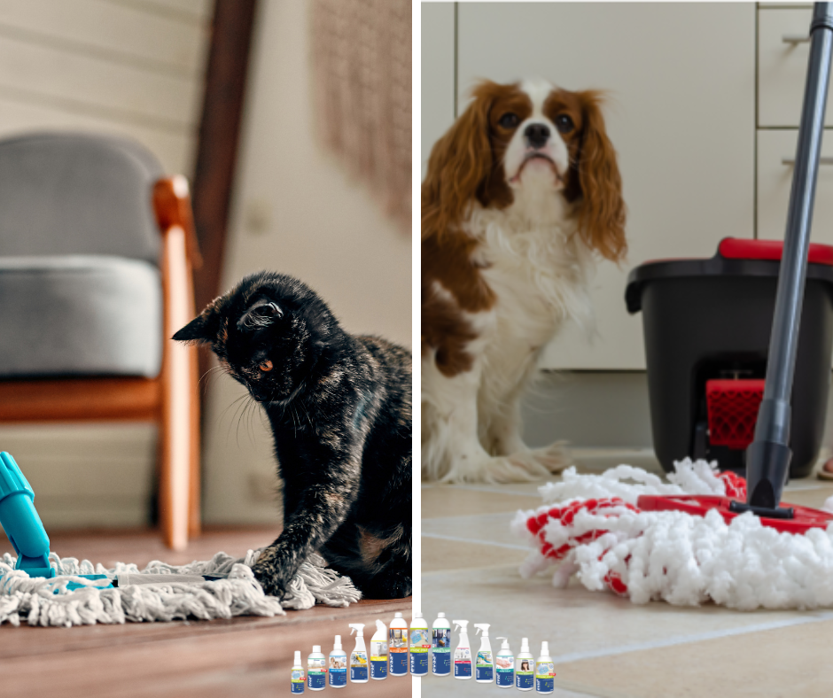 Pet safe cleaning products