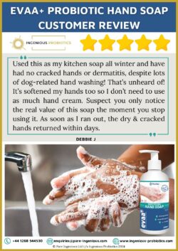 EVAA+ Probiotic Hand Soap Review