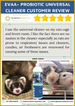 EVAA+ Probiotic Universal Cleaner Review (Rats & Ferrets)
