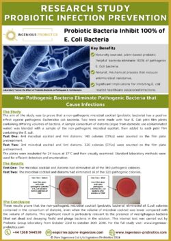 Laboratory Study - Probiotic Infection Prevention E. Coli